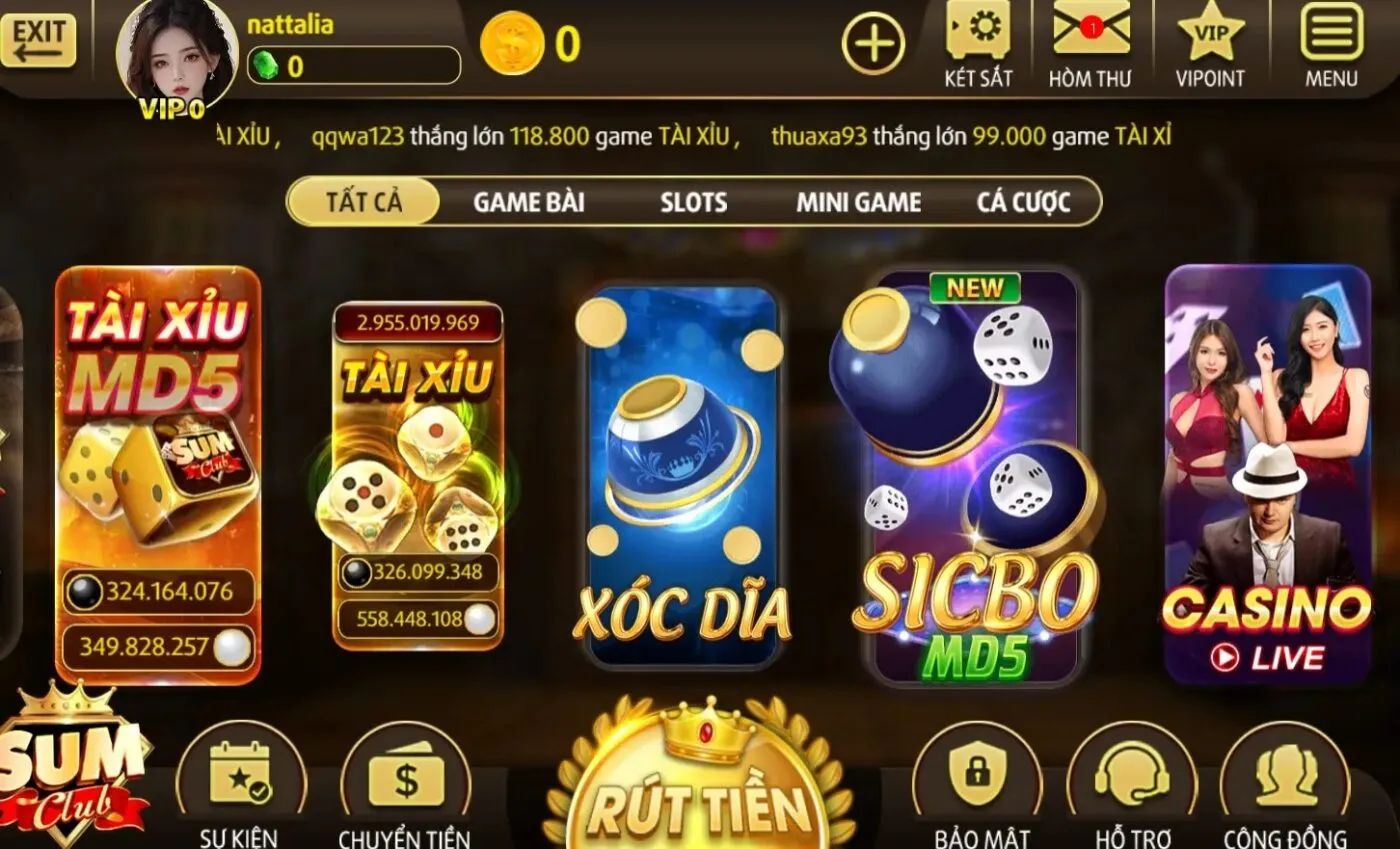 Ý nghĩa ra đời của domain Sumclub 10 chính thức 